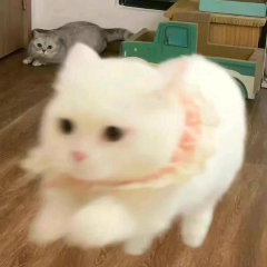 玉青烟
