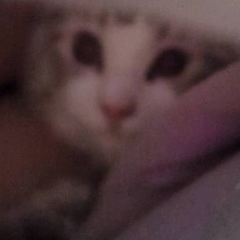 小白兔牙膏