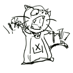 偷星猫
