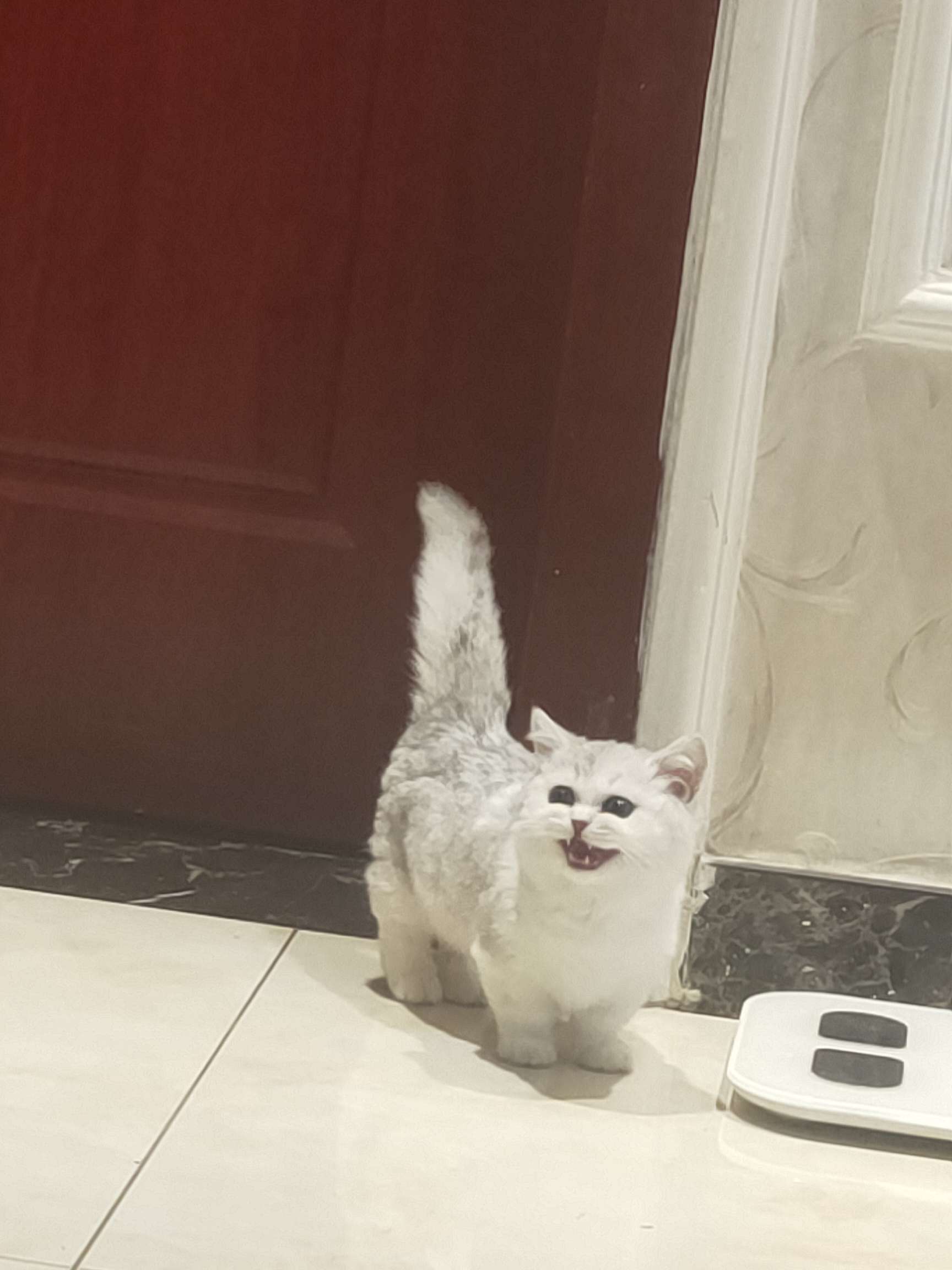 盐鸿