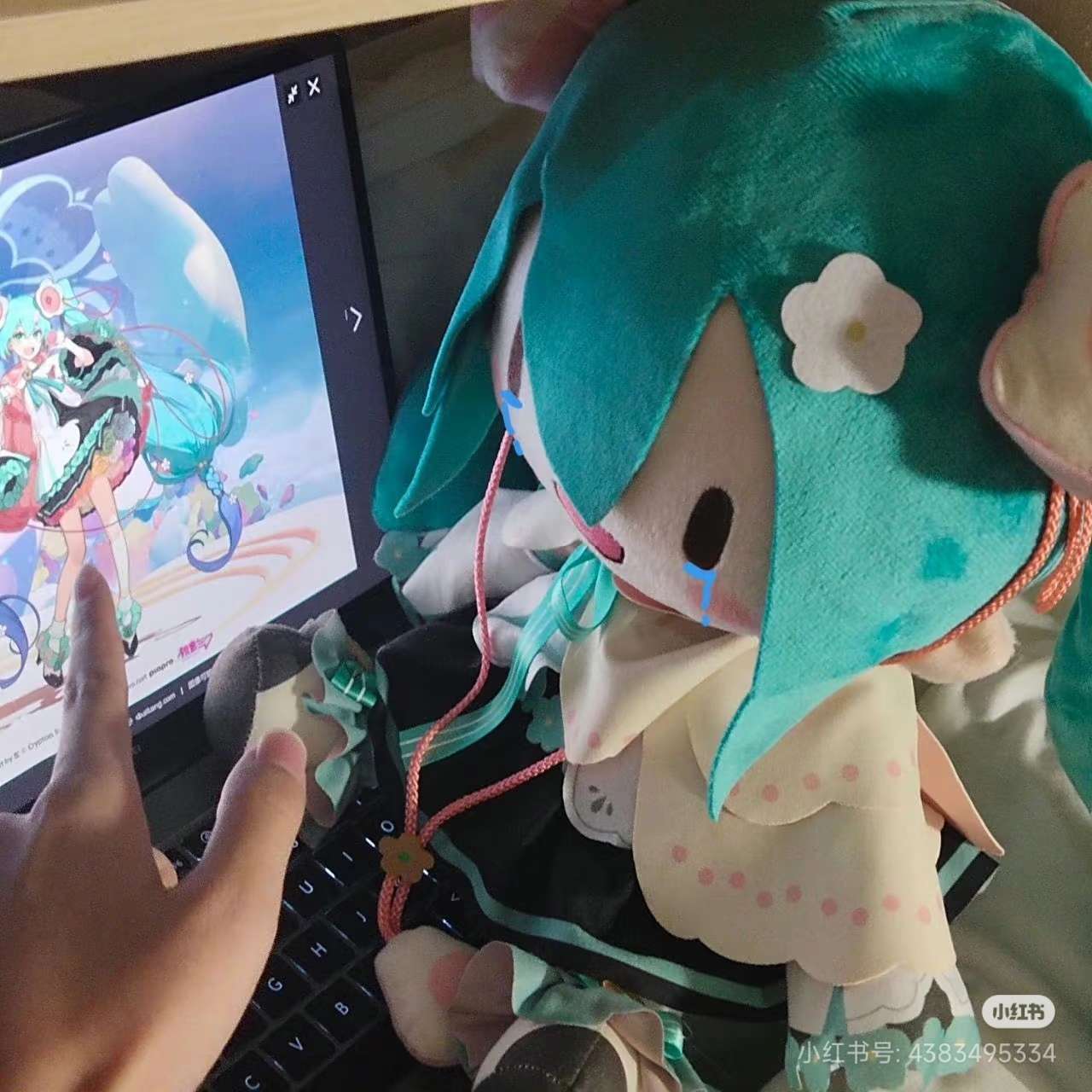 卡布